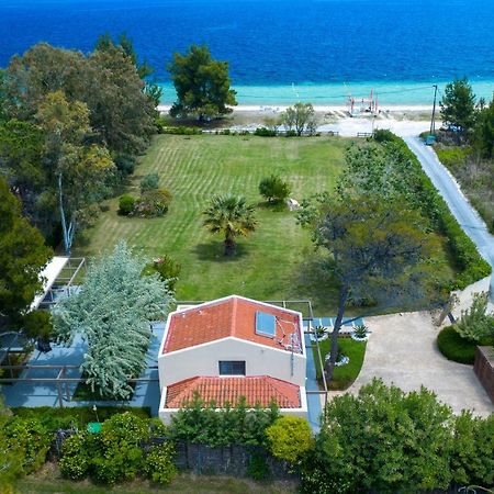 Tiamo Secrets - Palm Garden Villa Vourvourou Exteriör bild